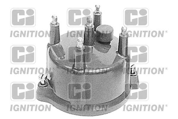 Distributor Cap (XD161)