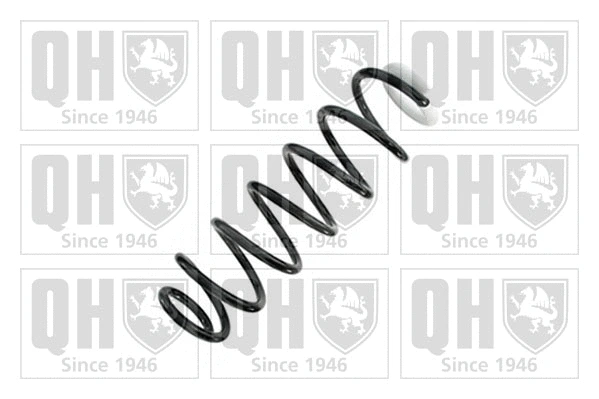 Suspension Spring (QCS8730)