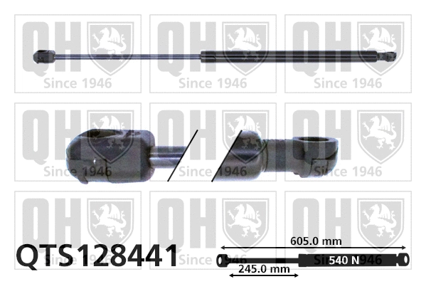 Gas Spring, boot/cargo area (QTS128441)