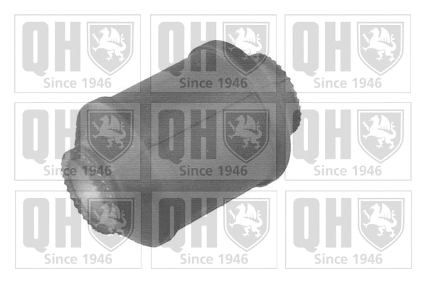 Mounting, control/trailing arm (EMS8019)
