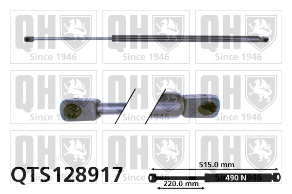 Gas Spring, boot/cargo area (QTS128917)