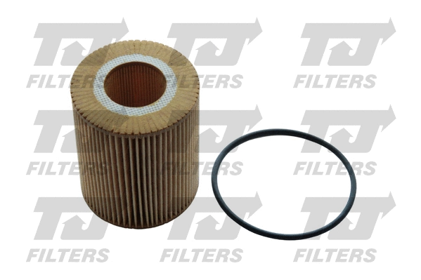 Oil Filter (QFL0319)