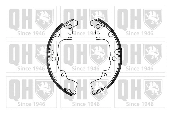 Brake Shoe Set (BS690)