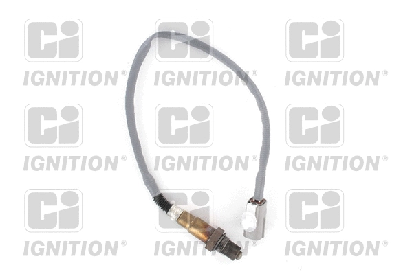 Lambda Sensor (XLOS1561)