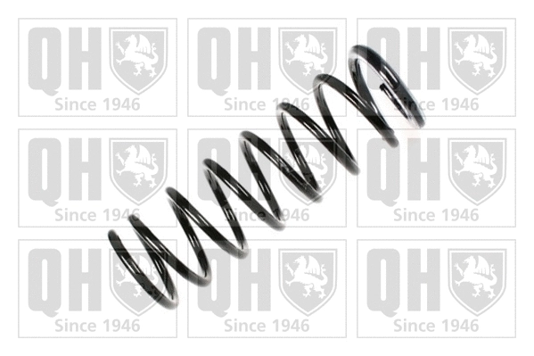 Suspension Spring (QCS5480)