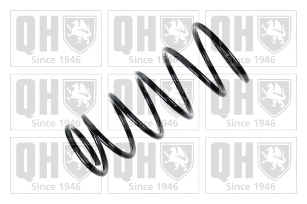 Suspension Spring (QCS5633)