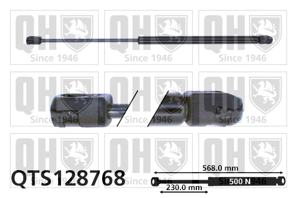 Gas Spring, boot/cargo area (QTS128768)