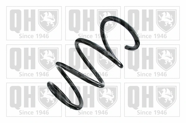 Suspension Spring (QCS8748)