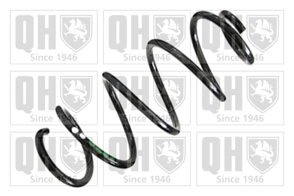 Suspension Spring (QCS6701)