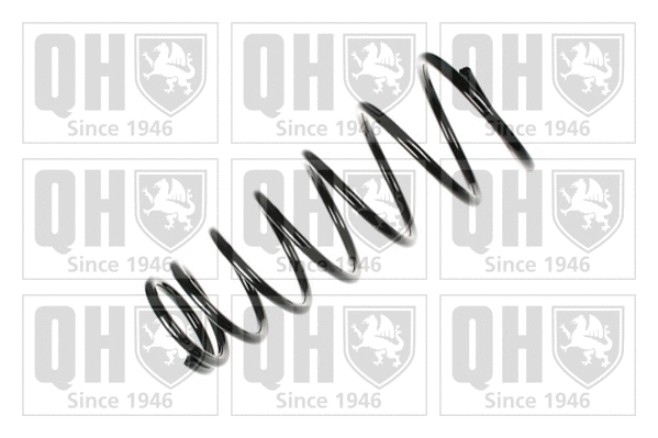 Suspension Spring (QCS7617)