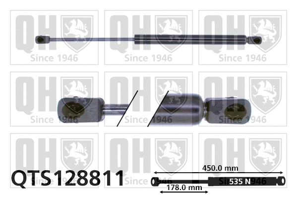 Gas Spring, boot/cargo area (QTS128811)