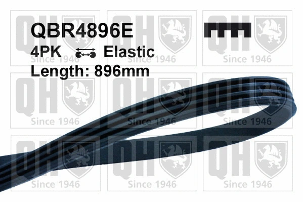 V-Ribbed Belt (QBR4896E)