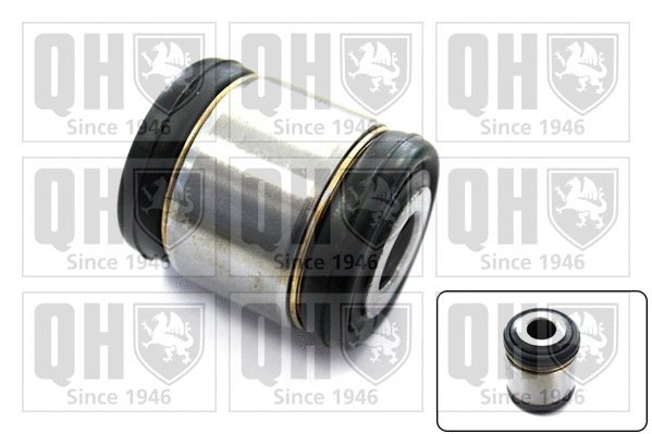 Mounting, control/trailing arm (EMS8520)