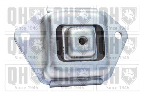 Mounting, control/trailing arm (EMS8506)