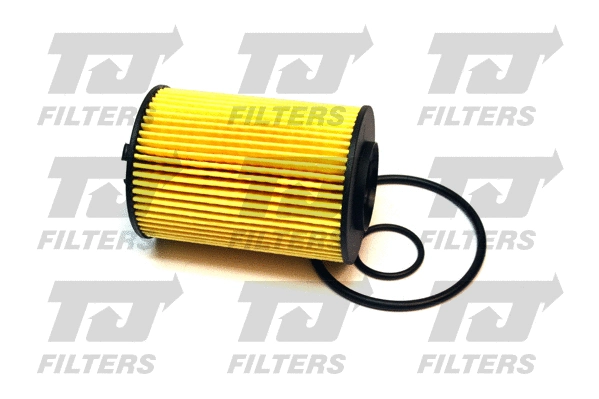 Oil Filter (QFL0030)