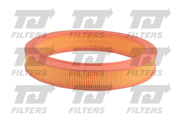 Air Filter (QFA0884)
