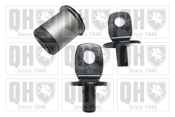 Mounting, control/trailing arm (EMS8794)