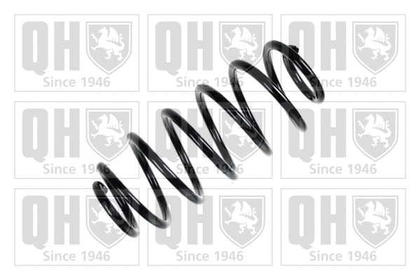 Suspension Spring (QCS8197)
