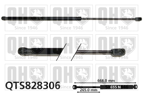 Gas Spring, boot/cargo area (QTS828306)