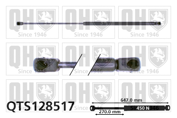 Gas Spring, boot/cargo area (QTS128517)