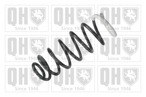 Suspension Spring (QCS5272)