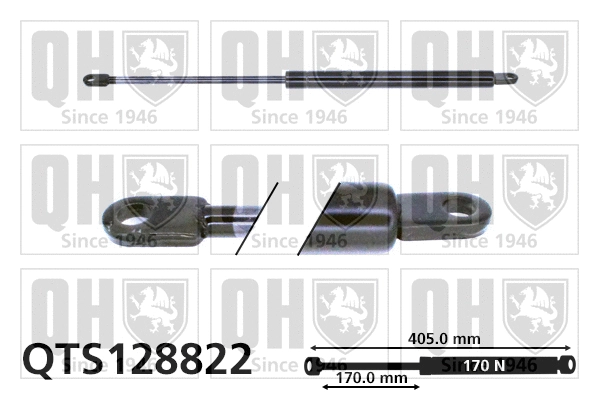 Gas Spring, boot/cargo area (QTS128822)