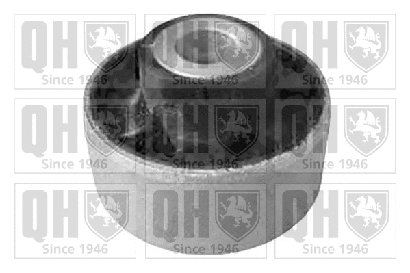 Mounting, control/trailing arm (EMS8304)