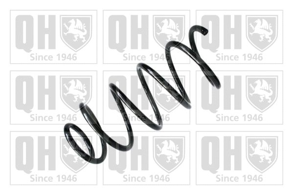 Suspension Spring (QCS6479)