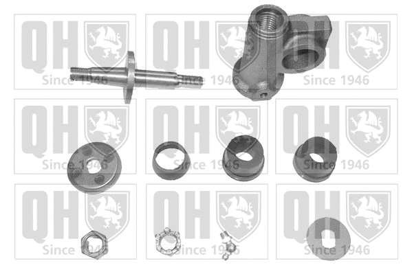 Repair Kit, steering knuckle (QSK14LH)