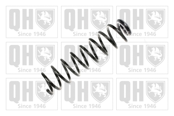 Suspension Spring (QCS8234)