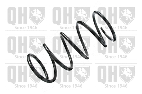 Suspension Spring (QCS5371)
