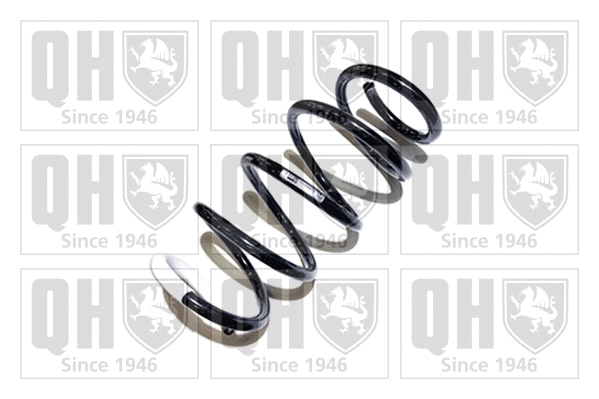 Suspension Spring (QCS5672)
