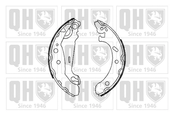 Brake Shoe Set (BS934)
