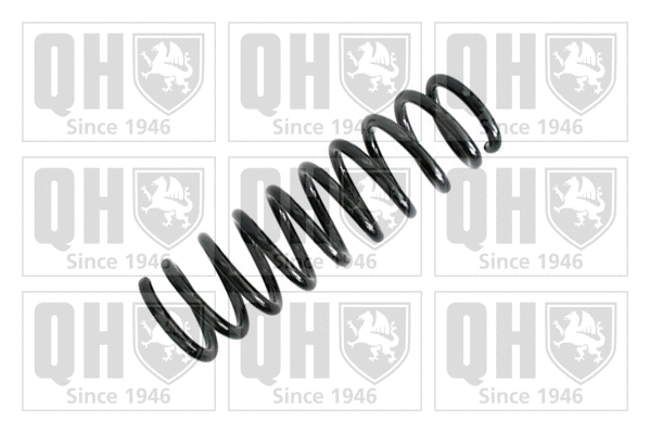 Suspension Spring (QCS7963)