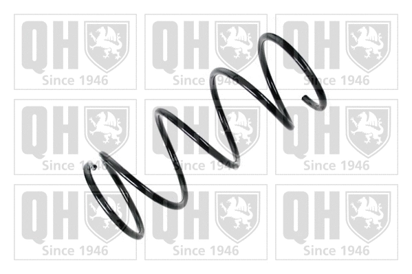 Suspension Spring (QCS6135)