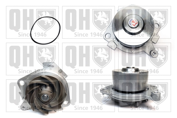Water Pump, engine cooling (QCP3316)