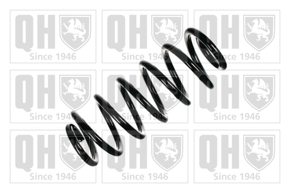 Suspension Spring (QCS6809)