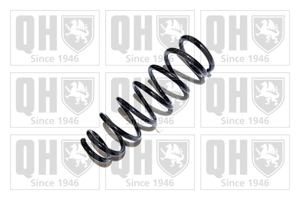 Suspension Spring (QCS5703)