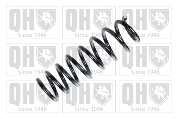 Suspension Spring (QCS7948)