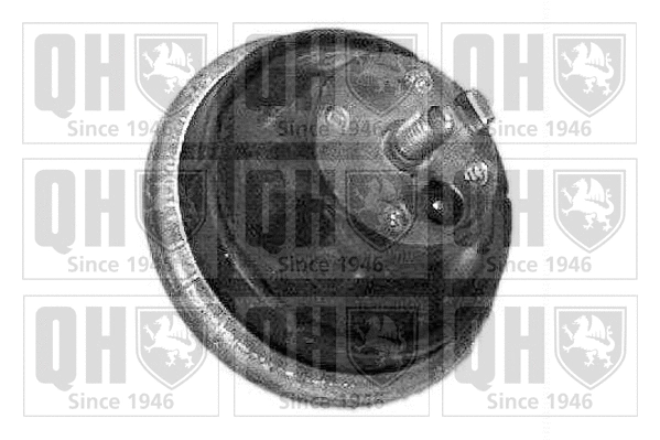 Mounting, engine (EM2466)