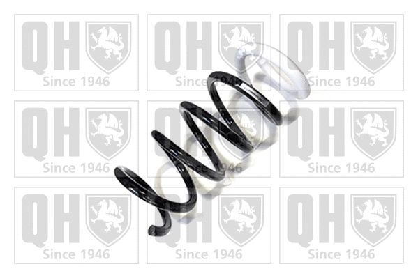 Suspension Spring (QCS5034)