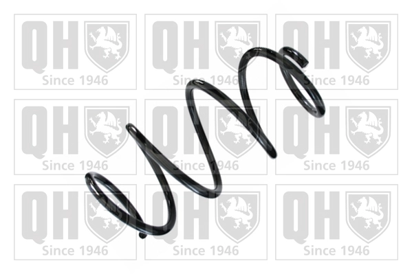 Suspension Spring (QCS8641)