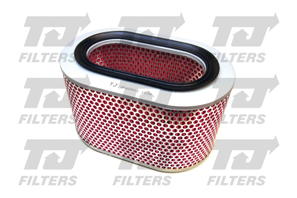 Air Filter (QFA0803)