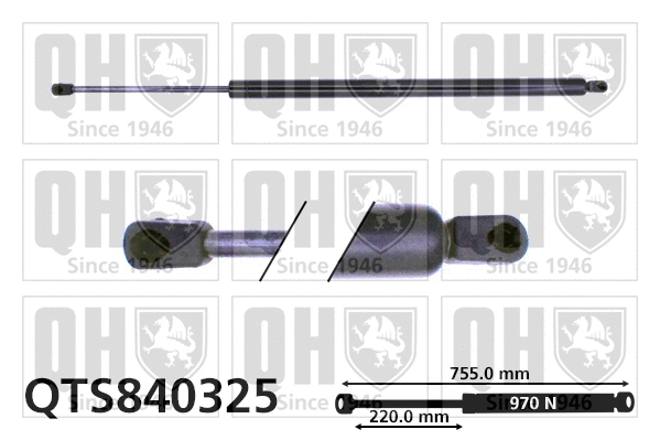 Gas Spring, boot/cargo area (QTS840325)