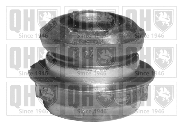 Mounting, control/trailing arm (EMS8120)
