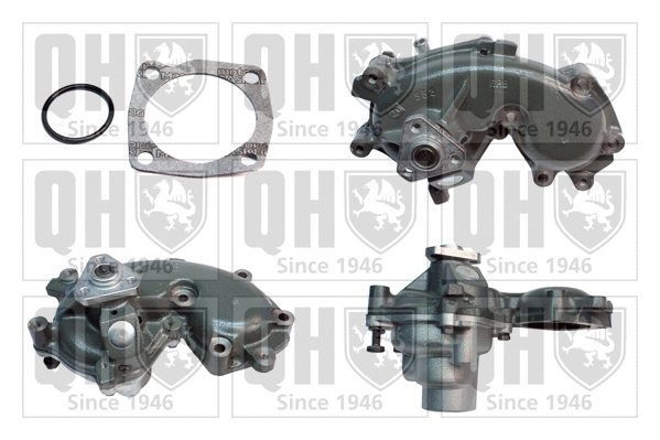 Water Pump, engine cooling (QCP3113BH)