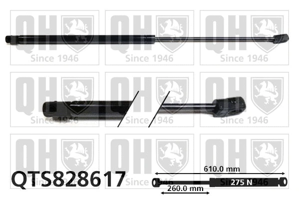 Gas Spring, boot/cargo area (QTS828617)