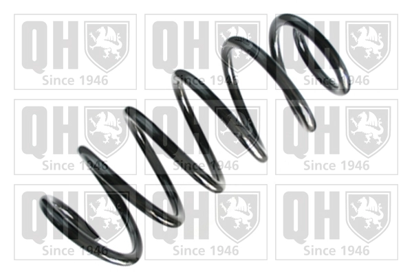 Suspension Spring (QCS8397)