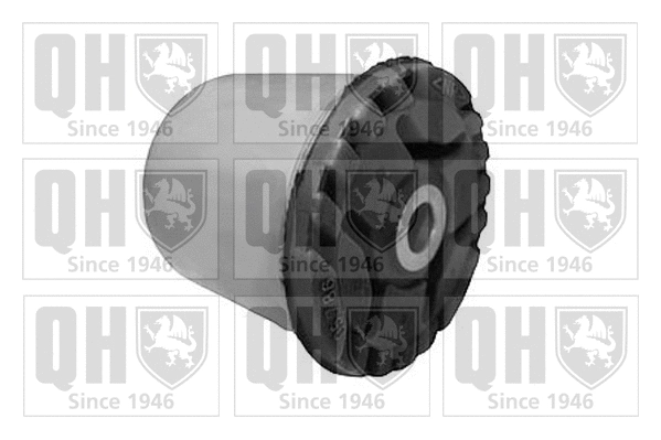 Mounting, control/trailing arm (EMS8334)