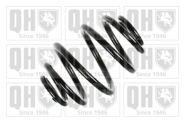 Suspension Spring (QCS5543)